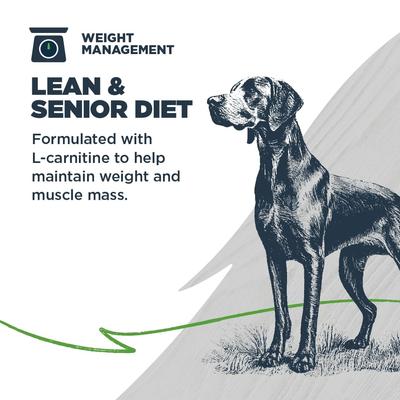 Show full view: Blackwood Lean Senior Chicken Meal with Ancient Grains Recipe Dry Dog Food, 4.5-lb bag slide 5 of 12