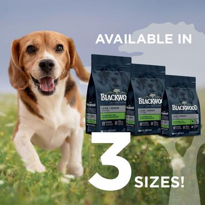 Show full view: Blackwood Lean Senior Chicken Meal with Ancient Grains Recipe Dry Dog Food, 4.5-lb bag slide 10 of 12