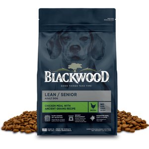 BLACKWOOD Small Breed Grain-Free Turkey & Lentils Slow Cooked Dry