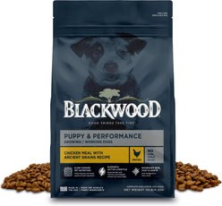 Blackwood Puppy Performance, Growing & Working Chicken Meal with Ancient Grain Recipe Dry Dog Food, 10-lb bag