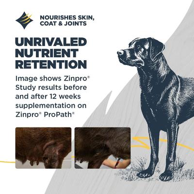 Show full view: Blackwood Puppy Performance, Growing & Working Chicken Meal with Ancient Grain Recipe Dry Dog Food, 24-lb bag slide 5 of 11