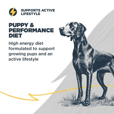 Show full view: Blackwood Puppy Performance, Growing & Working Chicken Meal with Ancient Grain Recipe Dry Dog Food, 24-lb bag slide 6 of 11