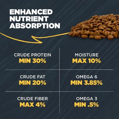 Show full view: Blackwood Puppy Performance, Growing & Working Chicken Meal with Ancient Grain Recipe Dry Dog Food, 24-lb bag slide 7 of 11