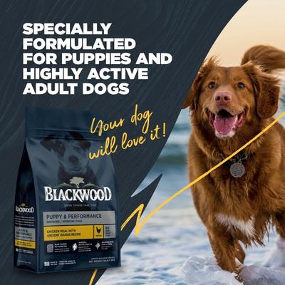 Show full view: Blackwood Puppy Performance, Growing & Working Chicken Meal with Ancient Grain Recipe Dry Dog Food, 24-lb bag slide 8 of 11