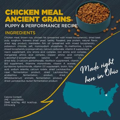 Show full view: Blackwood Puppy Performance, Growing & Working Chicken Meal with Ancient Grain Recipe Dry Dog Food, 24-lb bag slide 3 of 11