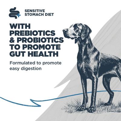 Show full view: Blackwood Sensitive Skin & Stomach Adult Catfish Meal with Ancient Grains Recipe Dry Dog Food, 4.5-lb bag slide 5 of 11