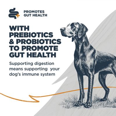 Show full view: Blackwood Sensitive Skin & Stomach Adult Lamb Meal & Brown Rice with Ancient Grains Dry Dog Food, 10-lb bag slide 6 of 12