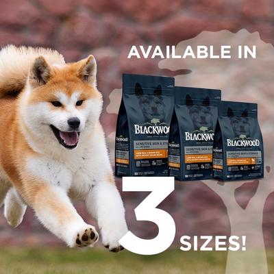 Show full view: Blackwood Sensitive Skin & Stomach Adult Lamb Meal & Brown Rice with Ancient Grains Dry Dog Food, 10-lb bag slide 10 of 12
