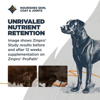Show full view: Blackwood Sensitive Skin & Stomach Adult Lamb Meal & Brown Rice with Ancient Grains Dry Dog Food, 24-lb bag slide 5 of 11
