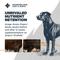 Show in main carousel: Blackwood Sensitive Skin & Stomach Adult Lamb Meal & Brown Rice with Ancient Grains Dry Dog Food, 4.5-lb bag slide 5 of 12