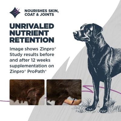Show full view: Blackwood Sensitive Skin & Stomach Adult Salmon Meal & Brown Rice with Ancient Grains Dry Dog Food, 24-lb bag slide 6 of 11
