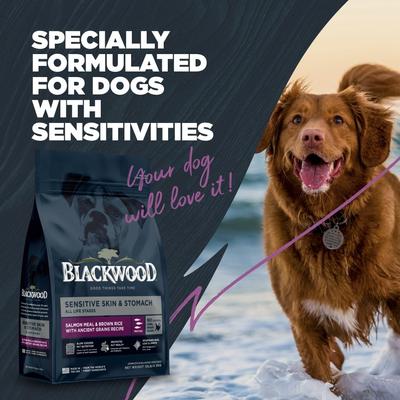 Show full view: Blackwood Sensitive Skin & Stomach Adult Salmon Meal & Brown Rice with Ancient Grains Dry Dog Food, 24-lb bag slide 8 of 11