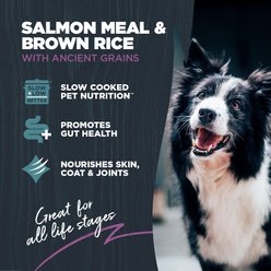 Blackwood Sensitive Skin & Stomach Salmon Meal & Brown Rice with Ancient Grains Slow Cooked Dry Dog Food, 24-lb bag slide 2 of 9