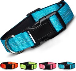 Blazin Color Me Happy! Reflective Dog Collar, Brilliant Blue, Large: 17.3 to 28-in neck, 1-in wide