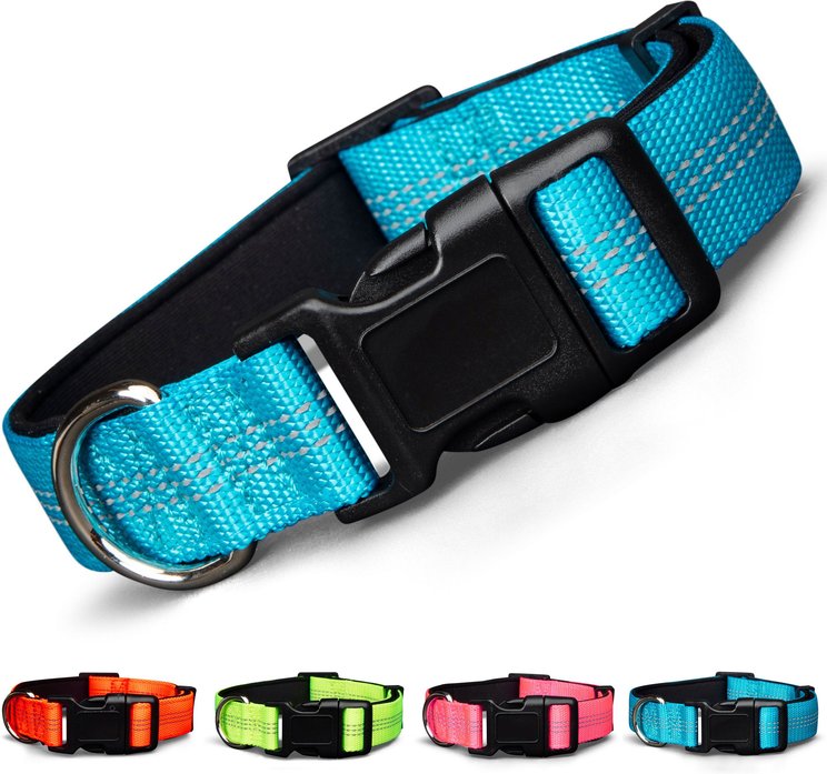 Large Colar COLLARS FOR BIG & LARGE DOGS (Free Shipping) | Chewy