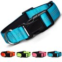 Blazin Color Me Happy! Reflective Dog Collar, Brilliant Blue, Large: 17.3 to 28-in neck, 1-in wide