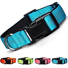 Blazin Color Me Happy! Reflective Dog Collar, Brilliant Blue, Small: 10.2 to 14.8-in neck, .75-in wide