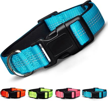 Show full view: Blazin Color Me Happy! Reflective Dog Collar, Brilliant Blue, Small: 10.2 to 14.8-in neck, .75-in wide slide 1 of 7