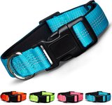 Color Me Happy! Reflective Dog Collar, Brilliant Blue, Small: 10.2 to 14.8-in neck, .75-in wide