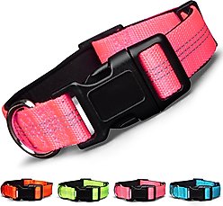 Blazin Color Me Happy! Reflective Dog Collar, Make Me Blush Pink, Large: 17.3 to 28-in neck, 1-in wide