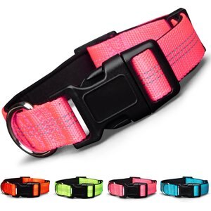 Blazin Color Me Happy! Reflective Dog Collar, Make Me Blush Pink, Medium: 13 to 19.3-in neck, 1-in wide