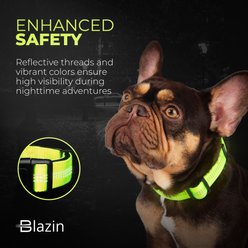 Blazin Color Me Happy! Reflective Dog Collar, Make Me Blush Pink, Medium: 13 to 19.3-in neck, 1-in wide slide 2 of 6