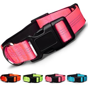 Blazin Color Me Happy! Reflective Dog Collar, Make Me Blush Pink, Small: 10.2 to 14.8-in neck, .75-in wide