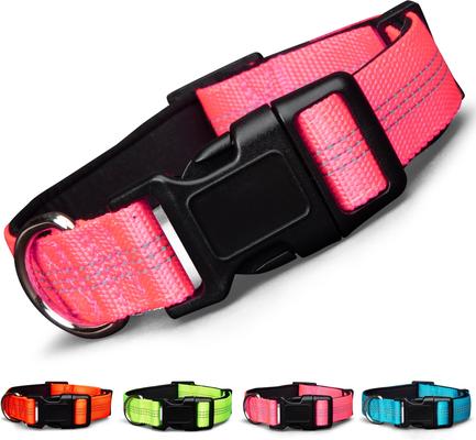 Show full view: Blazin Color Me Happy! Reflective Dog Collar, Make Me Blush Pink, Small: 10.2 to 14.8-in neck, .75-in wide slide 1 of 7