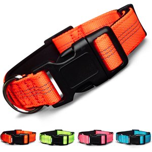 Blazin Color Me Happy! Reflective Dog Collar, OMG Orange, Large: 17.3 to 28-in neck, 1-in wide