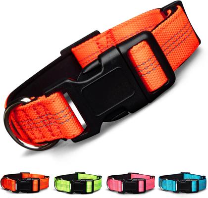 Show full view: Blazin Color Me Happy! Reflective Dog Collar, OMG Orange, Large: 17.3 to 28-in neck, 1-in wide slide 1 of 7