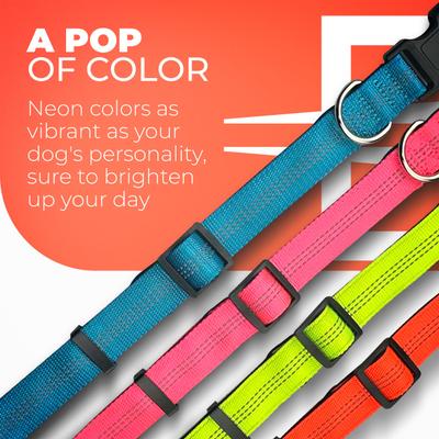 Show full view: Blazin Color Me Happy! Reflective Dog Collar, OMG Orange, Small: 10.2 to 14.8-in neck, .75-in wide slide 4 of 7