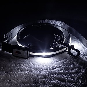 Blazin LED Dog Leash, Black, Large