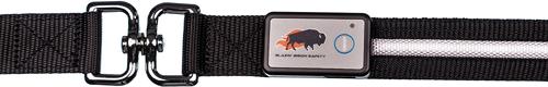 Show full view: Blazin LED Dog Leash, Black, Large slide 4 of 9