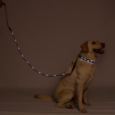 Show full view: Blazin LED Dog Leash, Black, Large slide 7 of 9