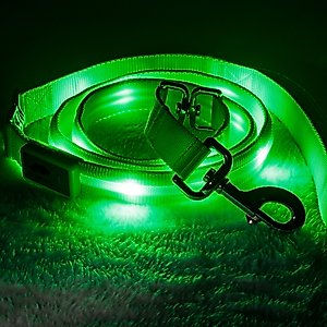 Blazin LED Dog Leash, Green, Large