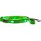 Show in main carousel: Blazin LED Dog Leash, Green, Large slide 2 of 9