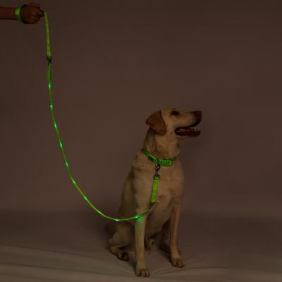 Show full view: Blazin LED Dog Leash, Green, Large slide 7 of 9