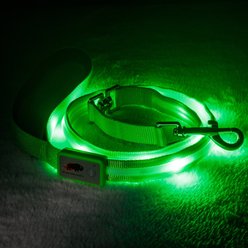 Blazin LED Dog Leash, Green, Small