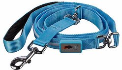 Blazin LED Dog Leash, Light Blue, Large slide 2 of 2