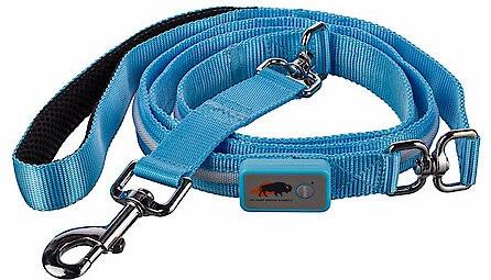 Show full view: Blazin LED Dog Leash, Light Blue, Large slide 2 of 3