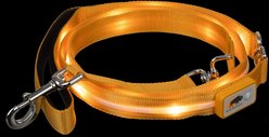 Blazin LED Dog Leash, Orange, Large