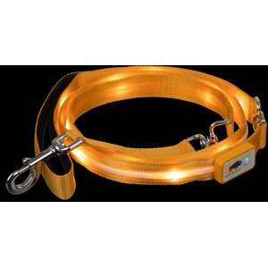 Blazin LED Dog Leash, Orange, Large