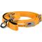 Show in main carousel: Blazin LED Dog Leash, Orange, Large slide 3 of 9
