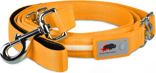 Show full view: Blazin LED Dog Leash, Orange, Large slide 3 of 9