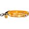 Show in main carousel: Blazin LED Dog Leash, Orange, Large slide 5 of 9