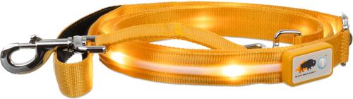 Show full view: Blazin LED Dog Leash, Orange, Large slide 5 of 9