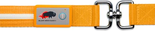 Show full view: Blazin LED Dog Leash, Orange, Large slide 6 of 9