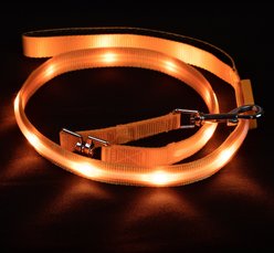 Blazin LED Dog Leash, Orange, Small