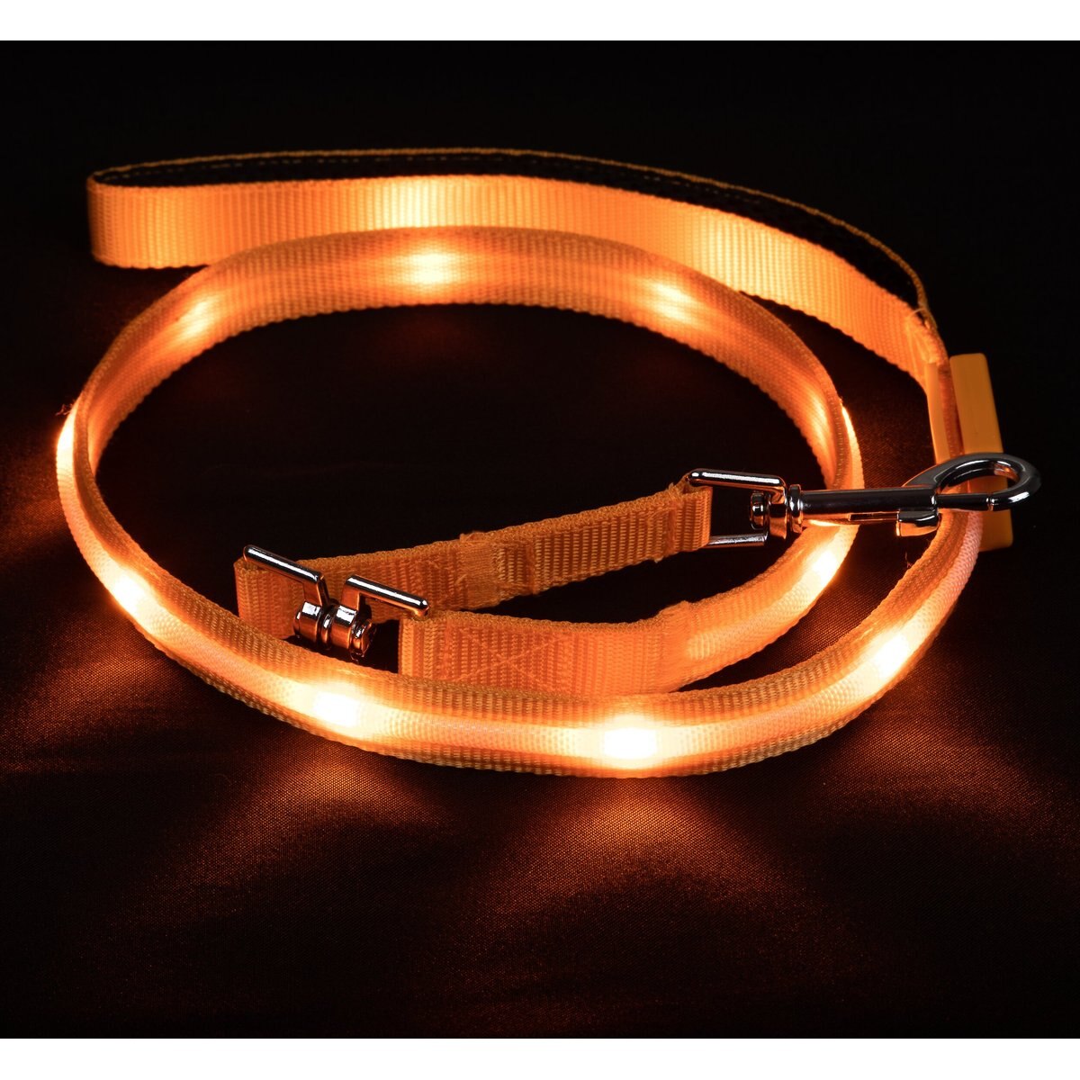 Blazin LED Dog Leash, Orange, Small