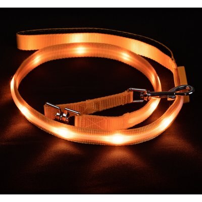 Blazin Blazin LED Dog Leash, Orange, Small